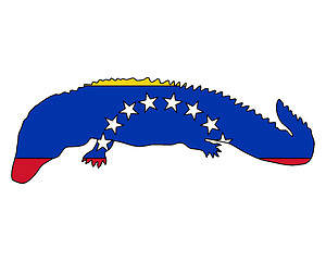 Image showing Caiman Venezuela