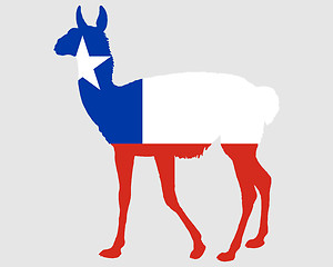 Image showing Guanaco Chile