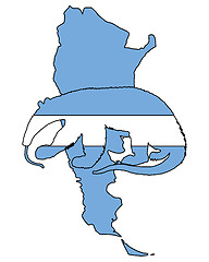 Image showing Anteater Argentina