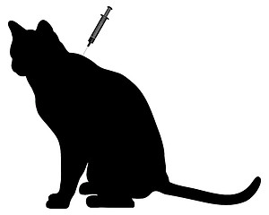 Image showing Cat vaccination