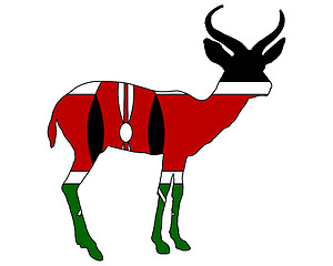 Image showing Kenya antelope