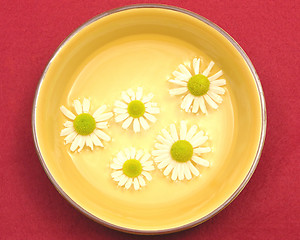 Image showing Camomile blooms swim in the water of a  ceramic bowl