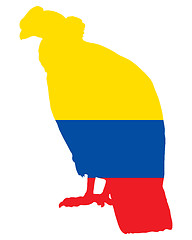 Image showing Andean Condor Ecuador