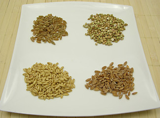 Image showing Four different grains on a white plate 