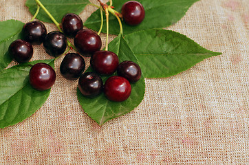 Image showing Ripe cherry on the rough fabric as the background