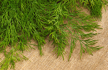 Image showing Green dill on the rough fabric as the background