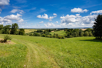 Image showing Rural summer landscape 
