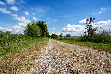 Image showing rural path with trees next to meadows