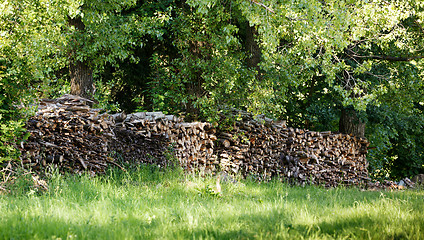 Image showing wood in pile outdoor 