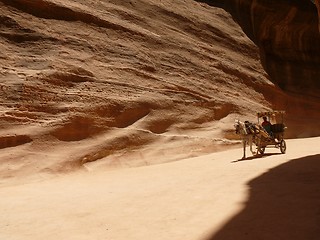 Image showing Horse carriage in a gorge, Siq, Petra, Jordan