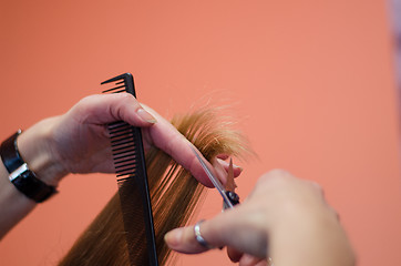 Image showing hairdresser shorten ends of the hair with scissors 