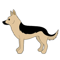 Image showing German Shepherd