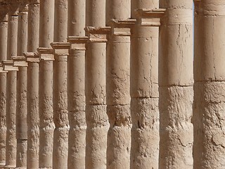 Image showing Ancient historical columns standing in a row, Great Colonnade, Palmyra, Syria, Middle East