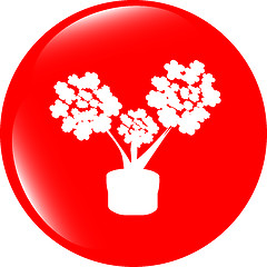 Image showing flowers icon button app web