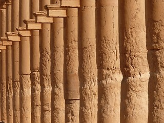 Image showing Ancient historical columns standing in a row, Great Colonnade, Palmyra, Syria, Middle East