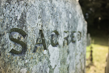 Image showing Gravestone