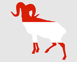 Image showing Flag of Austria with ram