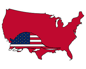 Image showing Armadillo United States of America