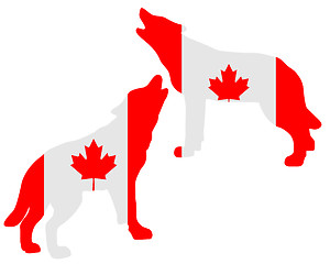 Image showing Canadian howling wolves