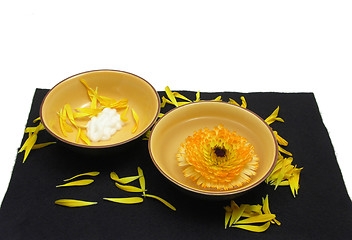 Image showing Beauty products of marigold on black and white background 