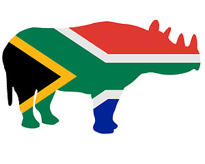 Image showing Southafrican rhino