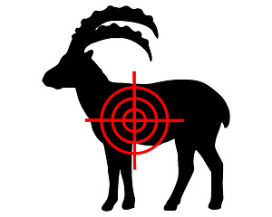 Image showing Ibex crosslines