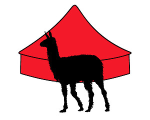 Image showing Lama in circus 