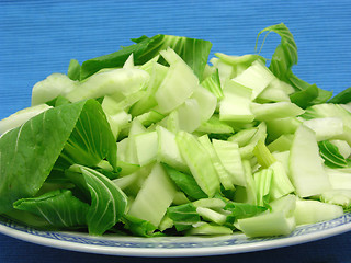 Image showing Pak choi cutted on a blue background