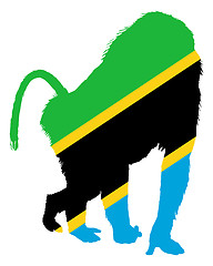 Image showing Baboon Tanzania