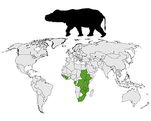 Image showing Hippo range