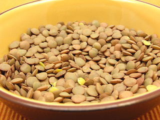 Image showing One bowl of ceramic with lentils in a close-up view