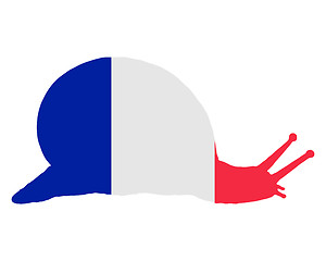 Image showing French slug 