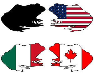 Image showing Bullfrog flags