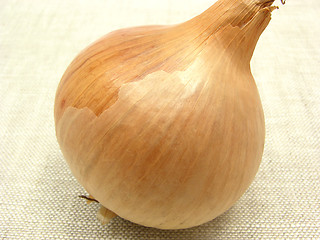 Image showing One onion arranged on a beige linen cloth