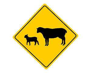 Image showing Sheep flock warning sign