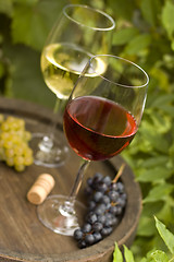 Image showing wine