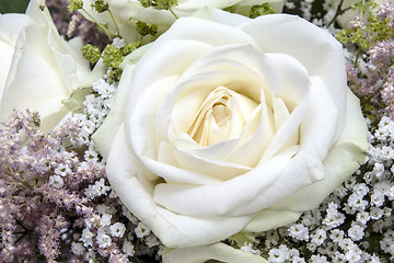 Image showing Background of beautiful white roses 