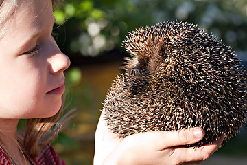 Image showing little girl with cute European hedgehog 