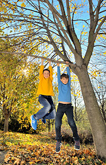 Image showing boys hanging from branch of tree