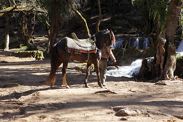 Image showing Horse riding at the waterfalls in Vittel Morocco