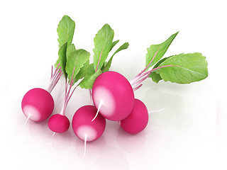Image showing Small garden radish