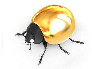 Image showing golden beetle 