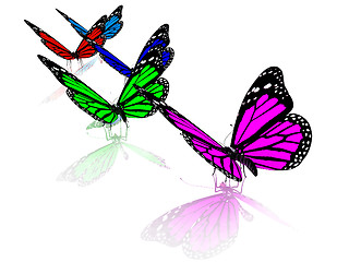 Image showing Butterfly