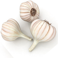 Image showing Head of garlic