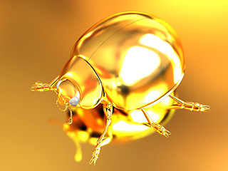 Image showing golden beetle 