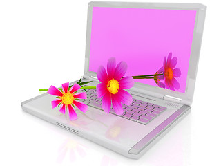 Image showing cosmos flower on laptop