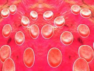 Image showing Blood cells