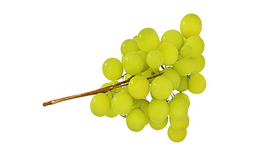 Image showing Grapes