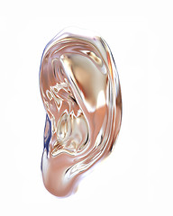 Image showing Ear metal