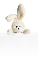 Image showing Rabbit ears look out from behind a white paper